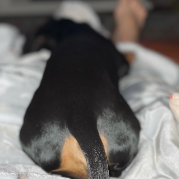 Meet the Posher, Deb - Picture 9 of 14